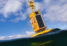 Boje - ---/Stiftung Meri/dpa