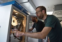 Bioraffinerie Leuna - Simon Kremer/dpa