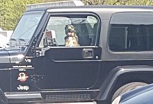 Aktueller Fall: Am Mittwoch entdeckte eine Bielefelderin diesen eingesperrten kleinen Hund auf dem obersten Deck eines Bielefelder Parkhauses. - Sabrina Yard