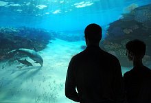 National Geographic Encounter - Foto: Johannes Schmitt-Tegge/dpa