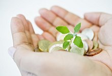 H&auml;nde mit M&uuml;nzen - Foto: Franziska Gabbert