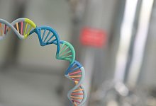 mRNA-Impfstoffe - Sebastian Christoph Gollnow/dpa