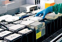 Labor Krone - Labor Krone