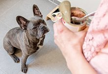 Ist das f&uuml;r mich? - Foto: Christin Klose/dpa-tmn