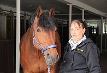 Pferde - Heidi Stork