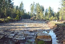 Seerosenteich - Tanja Watermann