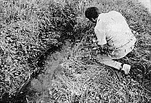 fundort - Scherzer/LZ, 20. August 1992