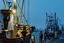 Fischerboote in B&uuml;sum - Foto: Axel Heimken/dpa