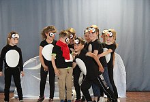 Pinguine auf Heimatsuche - Dieter Asbrock