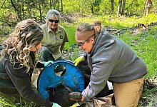 Bär nach zwei Jahren von Plastikdeckel befreit - Uncredited/Michigan Department of Natural Resources/AP/dpa