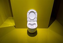 Toilette - Andrea Warnecke/dpa-tmn