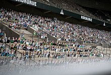 Pappkameraden - Foto: Marius Becker/dpa