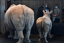 Nash&ouml;rner Marcita und Tayo - Foto: Martin Schutt/dpa-Zentralbild/dpa