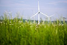 Windkraft - Julian Stratenschulte/dpa