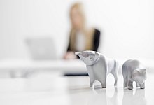 Bulle und B&auml;r - picture alliance / Monique W&uuml;stenhagen/dpa-tmn