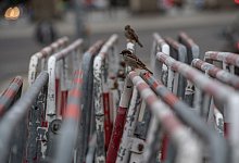 Absperrgitter der Polizei - Paul Zinken/dpa