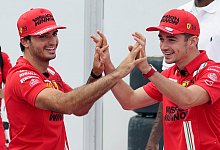 Umweg - Foto: Eric Gay/AP/dpa