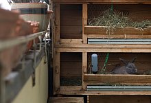 Bei Hitze kein guter Ort - Foto: Franziska Gabbert