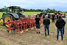 Hack- und Striegeltag - Heidi Stork