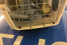 Kuriose Polizeieins&auml;tze 2020 - Bielefeld