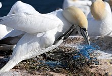 Basst&ouml;lpel - Foto: Carsten Rehder/dpa