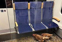 Hühner in Kölner S-Bahn zurückgelassen - -/Deutsche Bahn AG/dpa