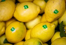 Immer mehr Menschen setzen bei ihrem Lebensmitteleinkauf auf Bio-Produkte. - Daniel Karmann/dpa