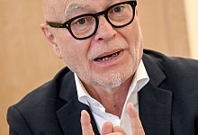 Di Fabio: Zeit für ein AfD-Verbot noch nicht reif - Britta Pedersen/dpa