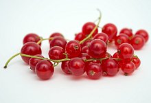 Johannisbeeren - Foto: Andrea Warnecke