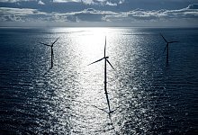 Windkraft auf See - Sina Schuldt/dpa