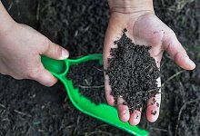 Eine Person entnimmt Erde aus einem Garten - Patrick Pleul/dpa/dpa-tmn
