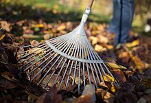 Nicht auf dem Rasen liegen lassen - Foto: Florian Schuh/dpa-tmn