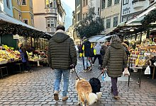 Hunde in Bozen - Christoph Sator/dpa
