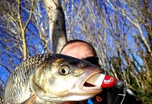 Angeln - Symbolbild: Pixabay