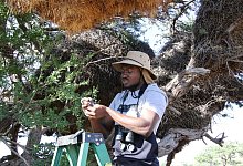 Klimawandel in der Kalahari - Foto: Kristin Palitza/dpa