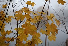 Herbst - Bodo Schackow/dpa-Zentralbild/dpa