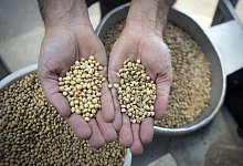 Soja - Martin Zabala/ZUMA/dpa