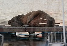 Thor - Owen Humphreys/PA Wire/dpa