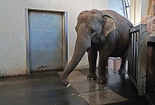 Pang Pha - Lena Kaufmann/dpa