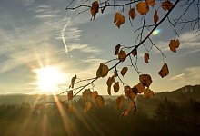 Urlaub in den Herbstferien - Foto: Bernd Thissen/dpa
