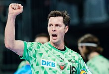 Rhein-Neckar L&ouml;wen - F&uuml;chse Berlin - Uwe Anspach/dpa