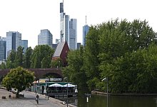 Versteckt zwischen B&auml;umen steht die Kunsthalle Portikus auf einer kleinen Maininsel an der Alten Br&uuml;cke. - Arne Dedert/dpa