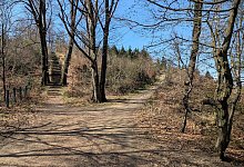 Etappe 5: Endspurt - Yvonne Glandien