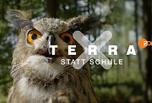 Terra X statt Schule - Foto: -/ZDF/HR Geschichte und Wissenschaft/dpa