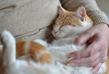 Sicherheit - Foto: Angelika Warmuth/dpa