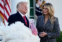 Truthahn-Begnadigungen - Foto: Susan Walsh/AP/dpa