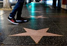 Hollywood Boulevard - Britta Pedersen/dpa-Zentralbild/dpa