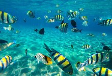 Naama Bay in Scharm el Scheich - Gehad Hamdy/dpa/dpa-tmn