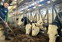 img_9548 - 1 - Mareike K&ouml;stermeyer