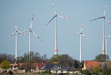 Windr&auml;der nahe Mallnow - Foto: Patrick Pleul